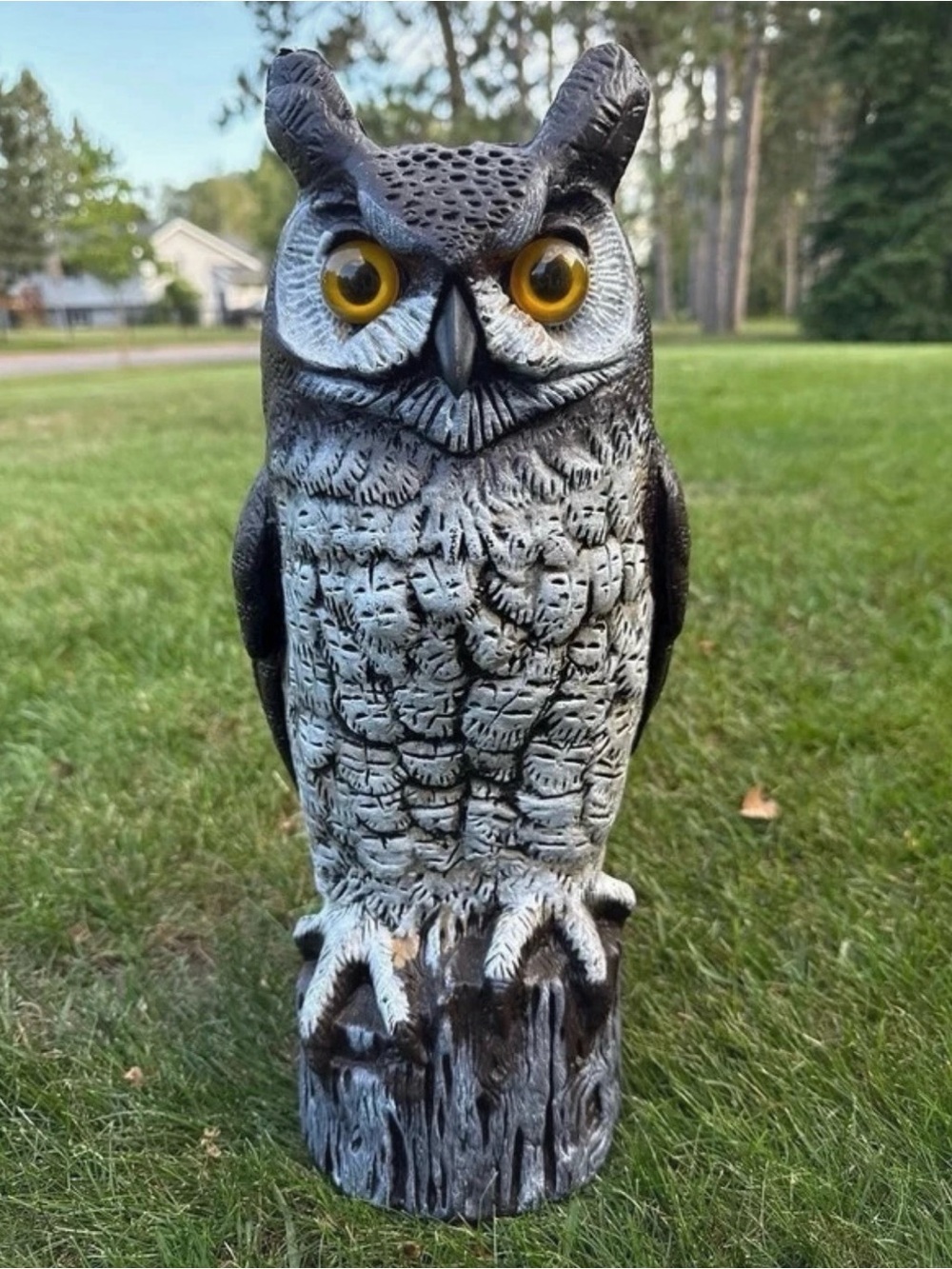 Lifelike Black and White Owl Bird Toy with Yellow Eyes